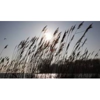 meer_dan_woorden