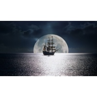 pirates