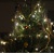 kerstboom_137481143